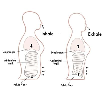 Inhale exhale illustrations